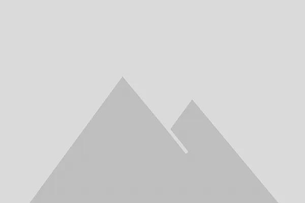 Melhores fornecedores de energia de reserva do mundo | 2020